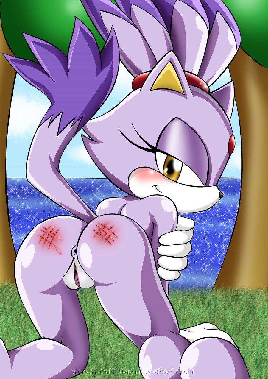 Mobius Unleashed: Blaze the Cat - 44/165 - Hentai Image.